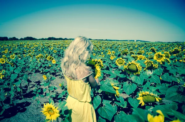 Sárga napraforgó mező gyermeke — Stock Fotó