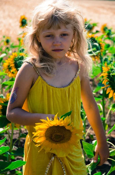 Criança no campo de girassol amarelo — Fotografia de Stock
