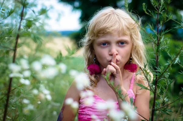 Mystery in the meadow — Stock Photo, Image