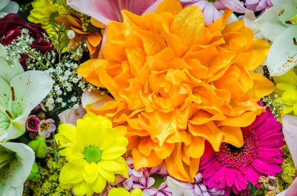 Kleurrijke bloemen bos — Stockfoto