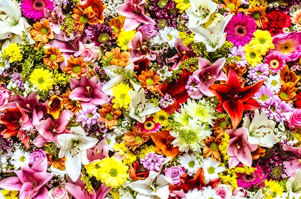 Güzel Çiçekler arka planı — Stok fotoğraf