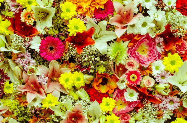 Duvarına renkli çiçekler — Stok fotoğraf