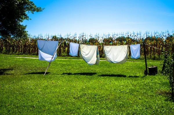 Drying clothes in washing line Royalty Free Stock Photos