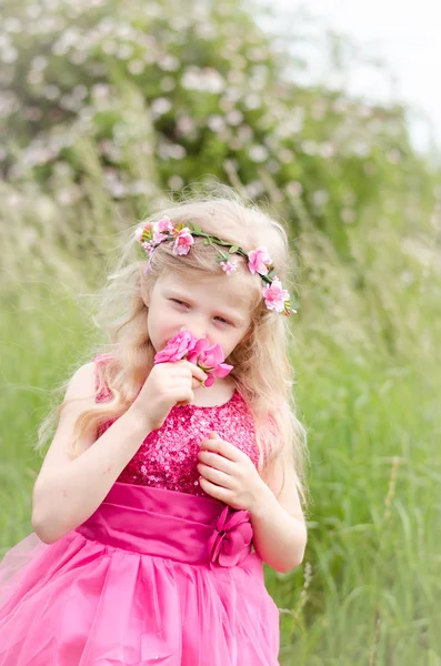 Gyermek illatú rózsaszín rózsa — Stock Fotó