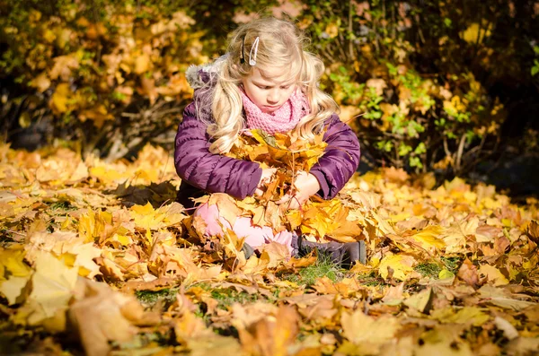 In autumn park — Stock Photo, Image