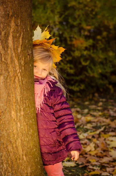 Dítě v podzimní sezóně — Stock fotografie