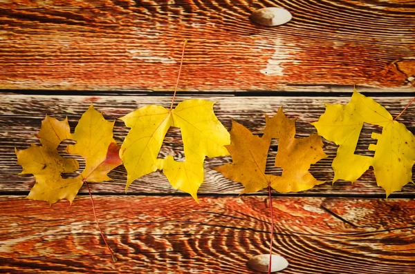 Concepto de venta de otoño — Foto de Stock