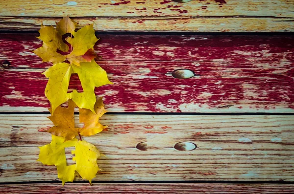 Hojas de arce de otoño — Foto de Stock