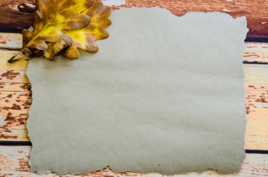 kayın ağacı yaprakları ile sonbahar konsepti