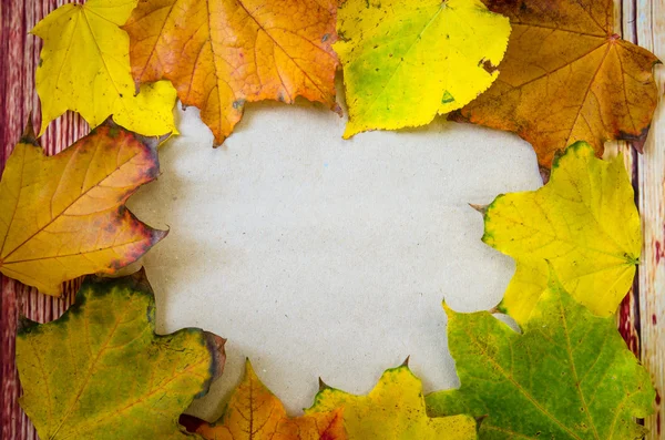 Marco de hojas de otoño — Foto de Stock