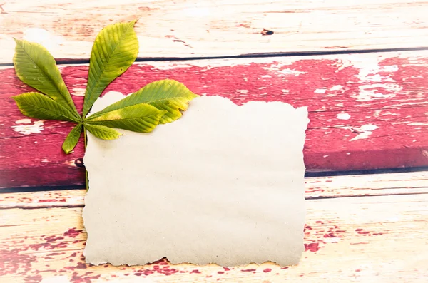 Concepto de otoño con hoja de castaño — Foto de Stock