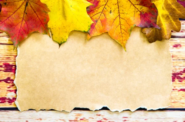 Maple leaves decoration — Stock Photo, Image
