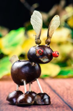 şirin kestane şekil