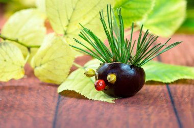 şirin kestane şekil ve sonbahar yaprakları