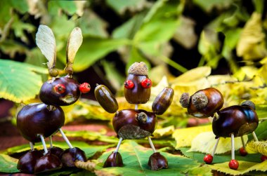 sonbahar kestane arkadaşlar