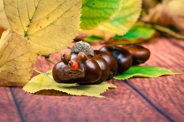 Bruna kastanjeträd orm djur figurerar — Stockfoto