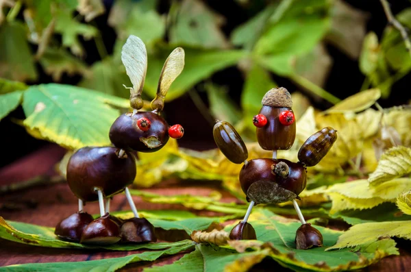 Autumn chestnut craft — Stock Photo, Image