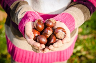 elinde kestane meyve