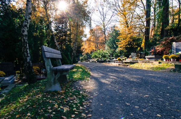 Fall in cemetery — Stock Photo, Image