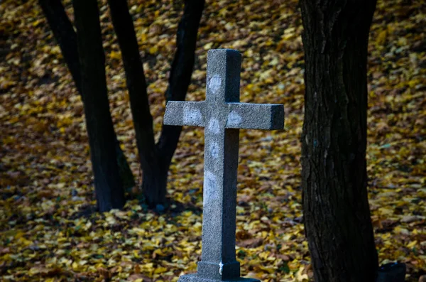 Burning candles in cemetery — Stock Photo, Image