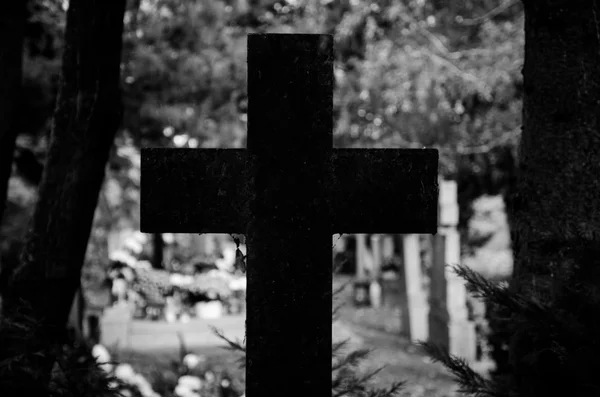 Cross in cemetery — Stock Photo, Image