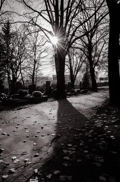 Shadows in cemetery — Stock Photo, Image