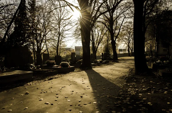 Ombres dans le cimetière — Photo