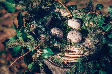 Bitkilerden ve hayvan yemi dallarından yapılmış kuş yemi.