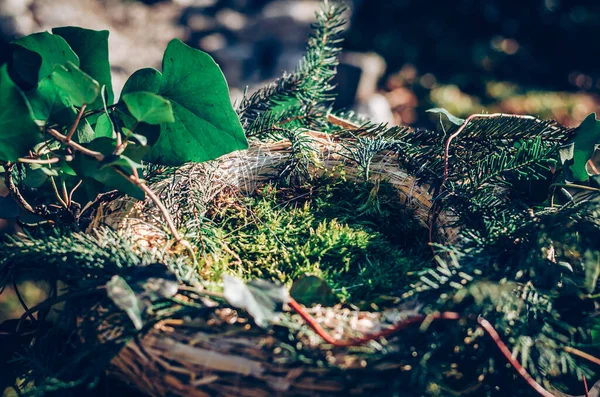 Mangeoire Pour Oiseaux Fabriquée Partir Plantes Brindilles Avec Nourriture Pour — Photo