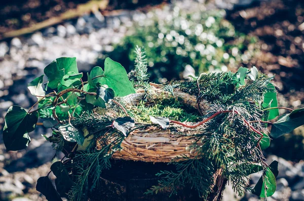 Mangeoire Pour Oiseaux Fabriquée Partir Plantes Brindilles Avec Nourriture Pour — Photo