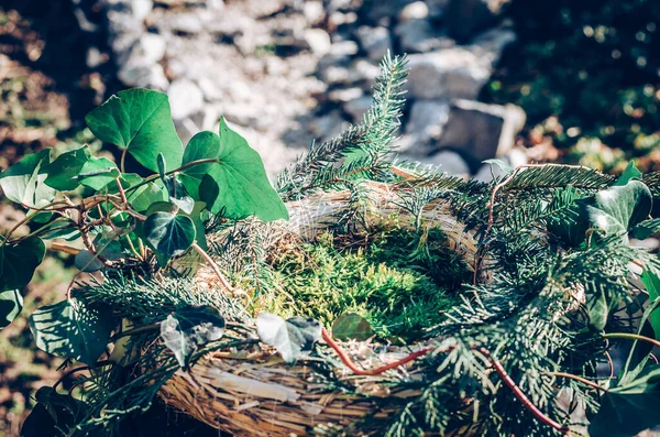 Mangeoire Pour Oiseaux Fabriquée Partir Plantes Brindilles Avec Nourriture Pour — Photo