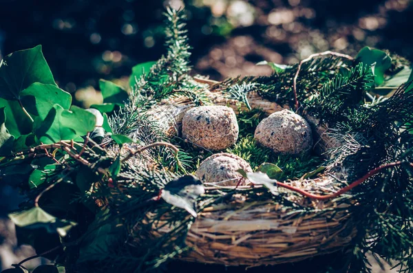 Mangeoire Pour Oiseaux Fabriquée Partir Plantes Brindilles Avec Nourriture Pour — Photo