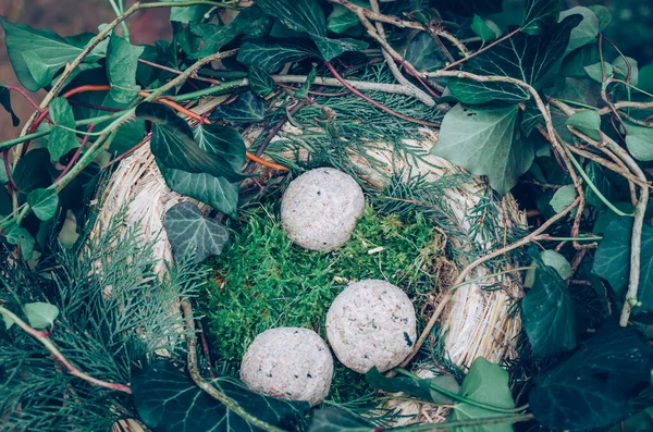 Alimentador Aves Feito Plantas Galhos Com Alimento Animal Para Aves — Fotografia de Stock