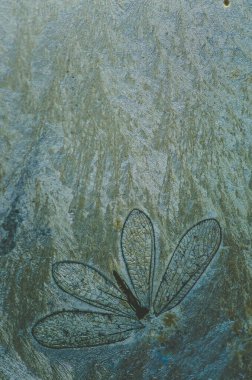 Sihirli beyaz mavi kış arka planı donmuş efektli