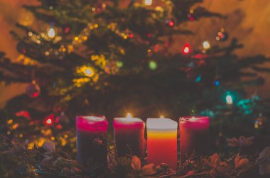 Dört Cristian mumu, bir pembe ve üç mor yanan Noel ağacı arkaplanı.