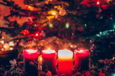 Dört Cristian mumu, bir pembe ve üç mor yanan Noel ağacı arkaplanı.
