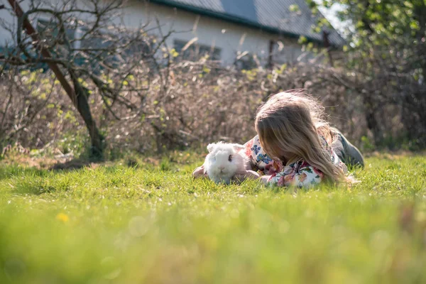 Klein Meisje Met Wit Konijn Huisdier Spelen Tuin — Stockfoto