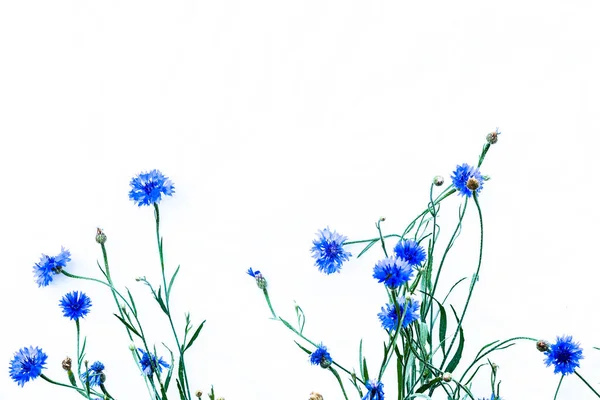 Primer Plano Flor Azul Brillante Botella Azul — Foto de Stock