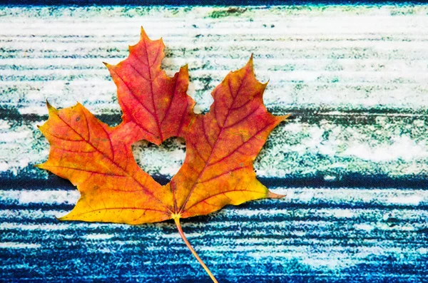 Höst Färgglada Löv Med Kärlek Symbol Dekorerad Blå Röd Bakgrund — Stockfoto