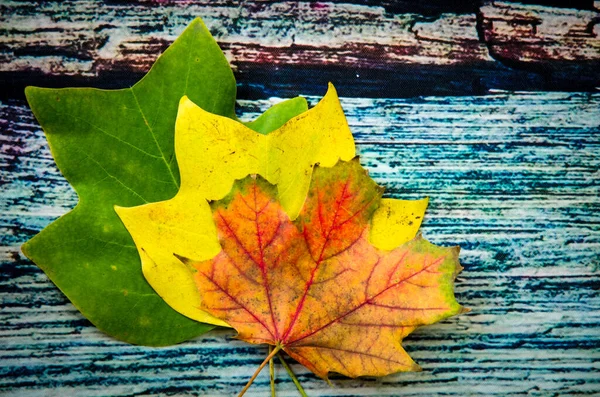 明るい色のカエデの葉の山もう一度木製の背景 — ストック写真