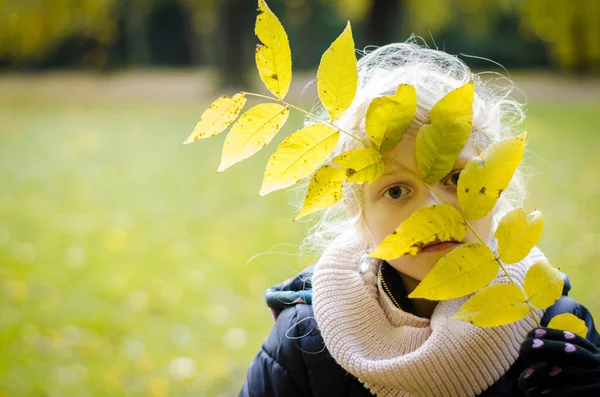 Kind Mit Gelbem Bunten Blatt Der Hand Nebliger Herbstlicher Atmosphäre — Stockfoto