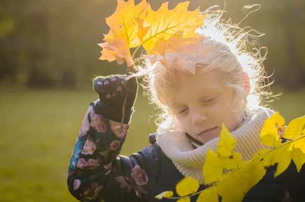 Kind Mit Gelbem Bunten Blatt Der Hand Nebliger Herbstlicher Atmosphäre — Stockfoto