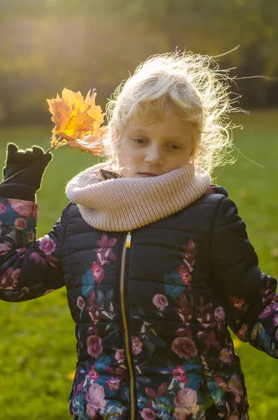 Elinde Sarı Renkli Yapraklar Olan Çocuk Sisli Sonbahar Atmosferinde — Stok fotoğraf