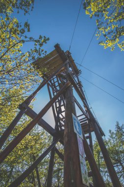 Bahar ormanındaki ağaçların arasındaki ahşap gözlem kulesinin tepesine bakın.