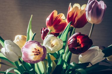 Bir demet sarı, pembe, beyaz ve kırmızı lale açan çiçekler. 