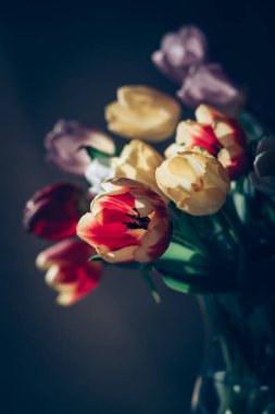 Bir demet sarı, pembe, beyaz ve kırmızı lale açan çiçekler. 