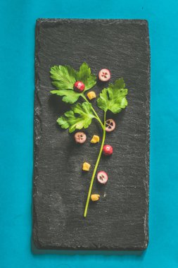 Siyah şist arkaplanda renkli bitkiler