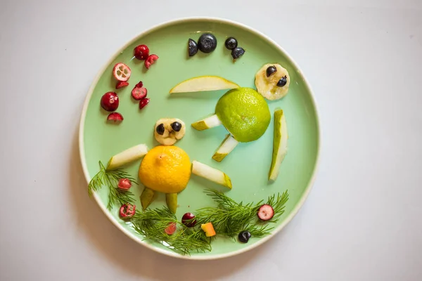 果物や野菜の創造的なアイデアカメと海の世界 — ストック写真