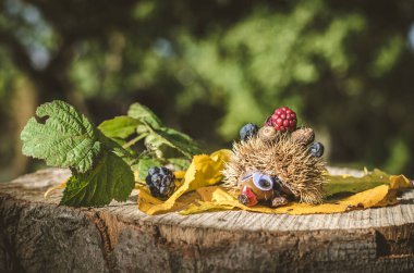 Renkli meyve ve meyvelerden gelen sonbahar yaratıcı figürleri
