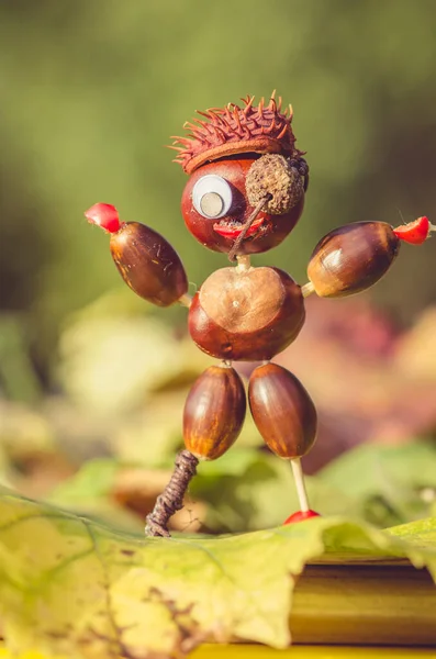 Autumn Creative Figure Chestnut Acorn Briar Fruits — Stock Photo, Image